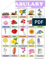 Flowers - Vocabulary Worksheet