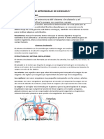 5º CS. NATURALES 6ªENTREGA AGOSTO