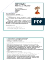 3. Toamna- proiect tematic