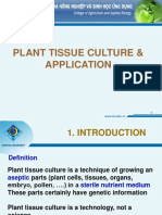 Plant Tissue Culture & Application