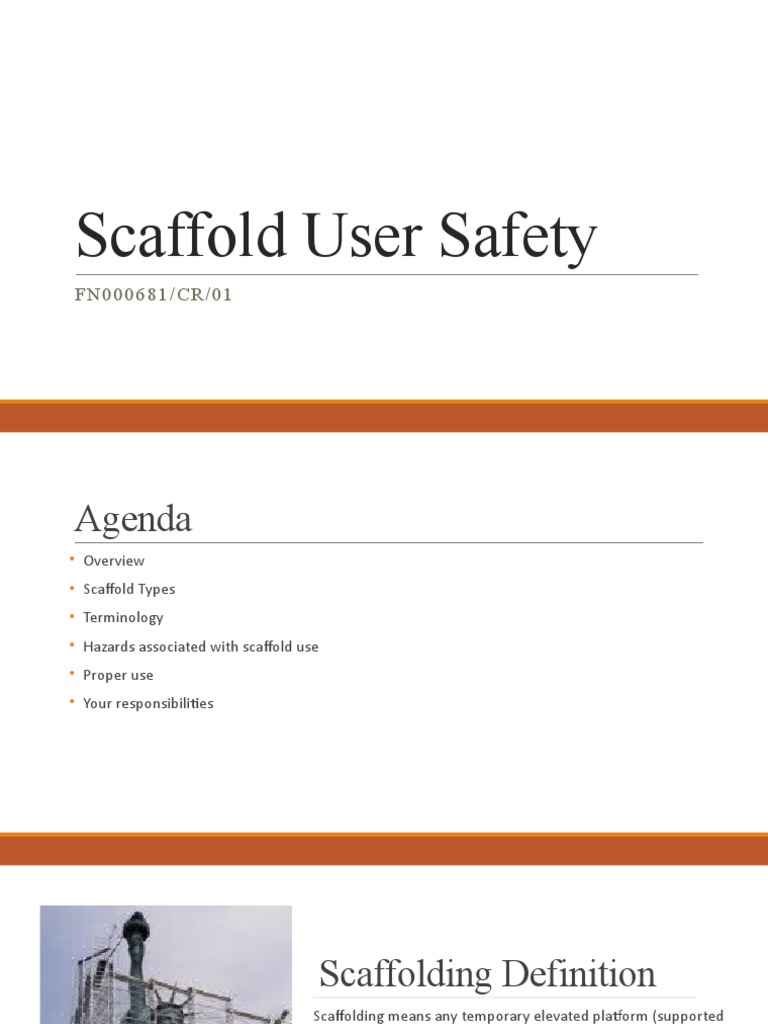 Scaffold User Safety FN000681/CR/01 PDF Scaffolding Ladder