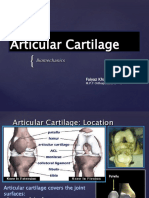 Cartilage Biomechanics