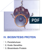 Sintesis Protein2