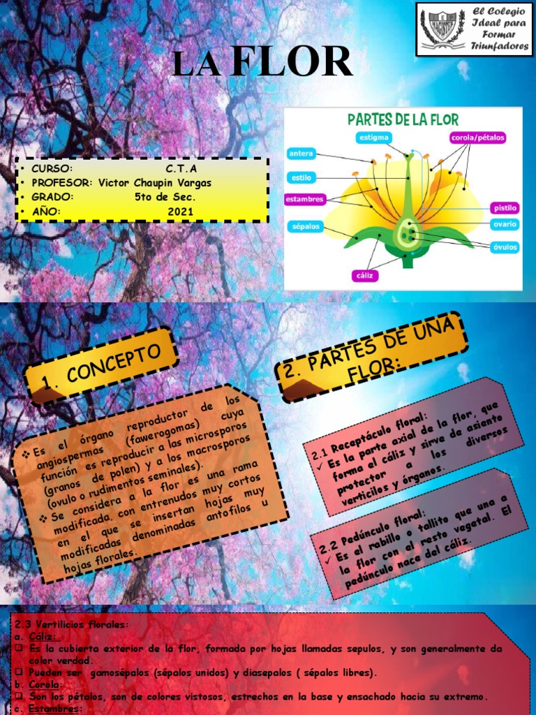 Partes y Funciones de la Flor | PDF | Plantas | Flores