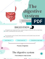 Digestion Wiwi