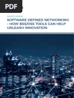 WP Software Defined Networking