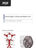 Blood Supply of Brain & Spinal Cord | PDF | Spinal Cord | Brainstem