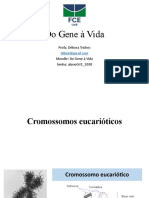 Aula 2. Cromossomo Eucariótico_parte 2