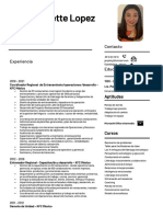 CV Curriculum Vitae Janette 3