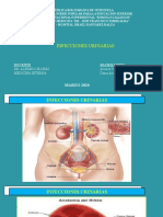 Infecciones Urinarias