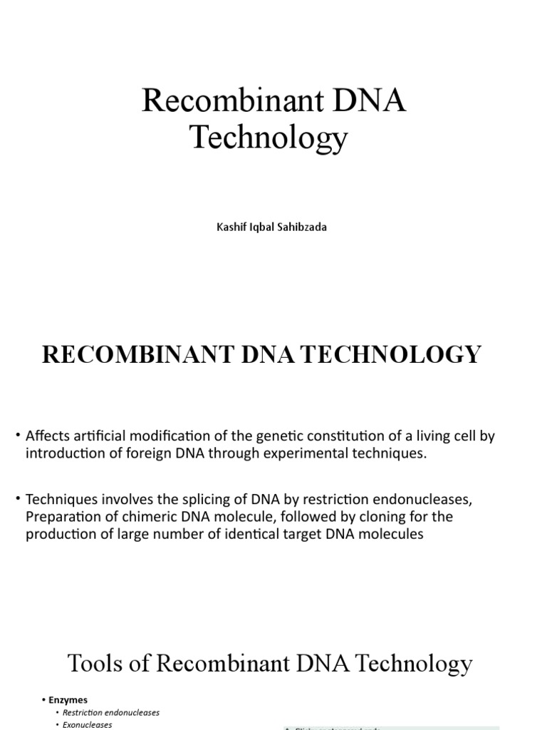 RECOMBINANT DNA TECHNOLOGY PROJECT PDF intelligence overview