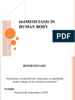 Homeostasis in Human Body