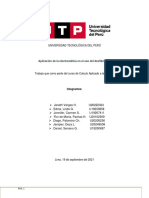 Segundo Avance - CAF2