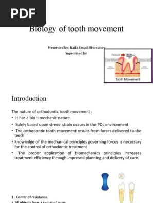 Tooth Movement