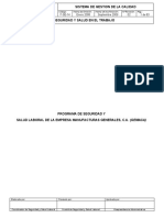 Programa Seguridad y Salud en El Trabajo