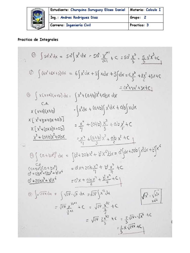 100 Integrales | PDF