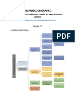 Organizador Grafico Semana 1