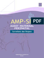 AMP at Pedoman AMPSR (20210708)