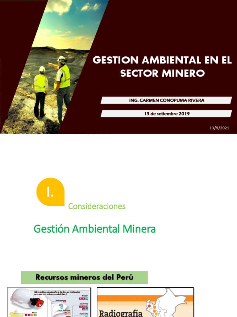 Gestion Ambiental en El Sector Minero Orig. 13.9.21CCR (10182) | PDF ...