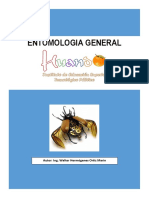 Entomologia General
