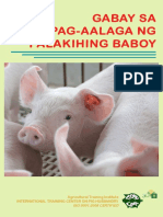Gabay Sa Pag-Aalaga Ng Palakihing Baboy [Read Only]