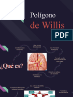 Polígono de Willis: estructura anatómica en forma de heptágono en la base del encéfalo