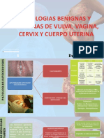 15,16,17. Patologias Benignas y Malignas de Vulva, Vagina, Cervix y Cuerpo Uterina