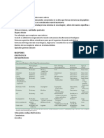 NEUROTRANSMISORES