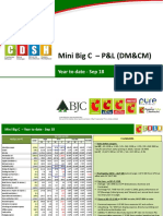 Mini Big C PL (DMCM)