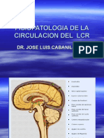 Fisiopatologia de La Circulacion Del LCR