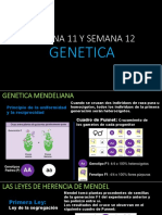 Semana 11 y Semana 12 - GENETICA