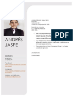 Curriculum Andres Jaspe 2