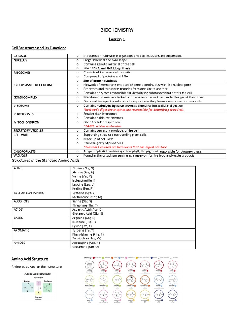 Biochemistry Lecture Notes Overview | PDF | Protein Structure | Enzyme
