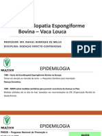 Encefalopatia Espongiforme Bovina