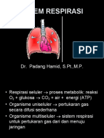 3. Sistem Respirasi