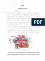 Anatomi dan Fisiologi Jantung