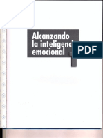 Alcanzando La Inteligencia Emocional 1