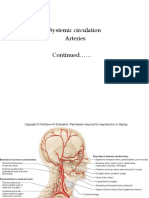 Systemic Circulation Arteries Continued