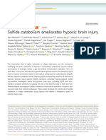 Sulfide Catabolism Ameliorates Hypoxic Brain Injury
