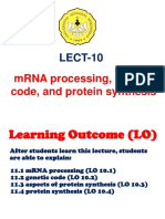 LECT-10 mRNA processing, genetic code, and protein synthesis (20192020-1)