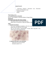 Plasmodium Parasitology and Pathogenesis