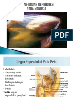 OR - Kesehatan Reproduksi Remaja 2021