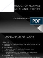 CONDUCT OF NORMAL LABOR AND  DELIVERY (1).pptx