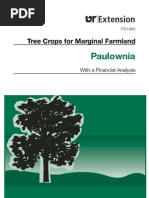 Download paulownia by Jason11078 SN53638989 doc pdf