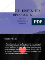 Tropis Toxoplamosis