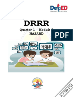 DRRR Q1 M9