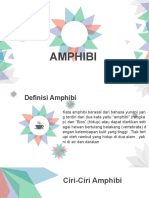 PPT AMPHIBI2