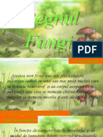 Regnul fungi