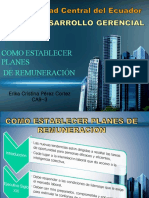 Como Establecer Planes de Remuneracion