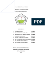 LP DHF KELOMPOK 4